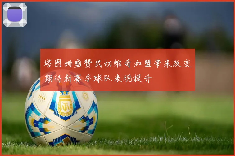 塔图姆盛赞武切维奇加盟带来改变期待新赛季球队表现提升