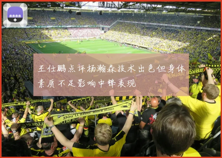 王仕鹏点评杨瀚森技术出色但身体素质不足影响中锋表现